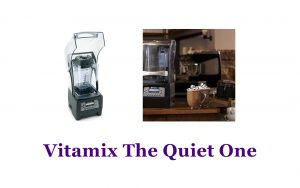 Blender Singapore, Vitamix The Quiet One, Commercial Use Blender