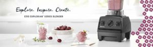 Blender Singapore, Vitamix E310, Vitamix Explorian Series Blender