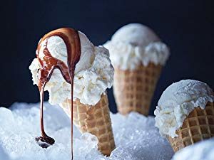Blender Singapore, Vitamix E310, Ice-Cream
