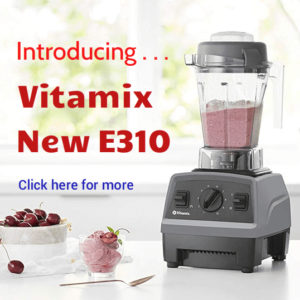 Blender Singapore, Vitamix E310, Vitamix Explorian Series Blender