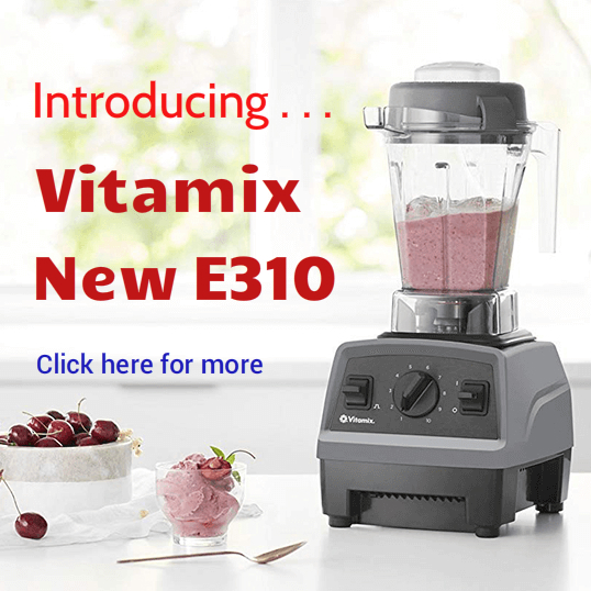 Vitamix E310