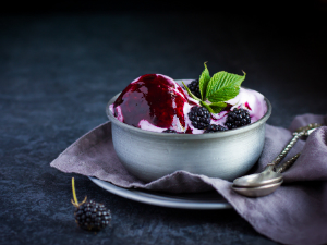 Blender Singapore, Vitamix Blender Makes Ice-Cream