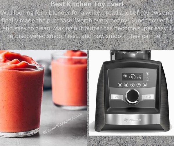 vitamix_blender_singapore