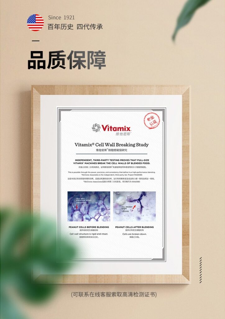 vitamix_blender_singapore